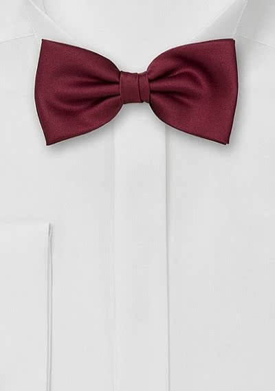 Nœud papillon bordeaux élégant Nœud papillon bordeaux élégant