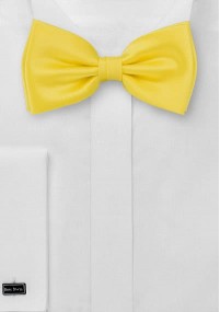 Nœud papillon aus dem gleichen Stoff und Farbe