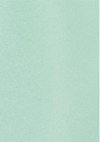 Modische Krawatte in mint